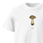 Herkkutatti,Boletus edulis