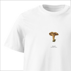 Kantarelli, Cantharellus cibarius