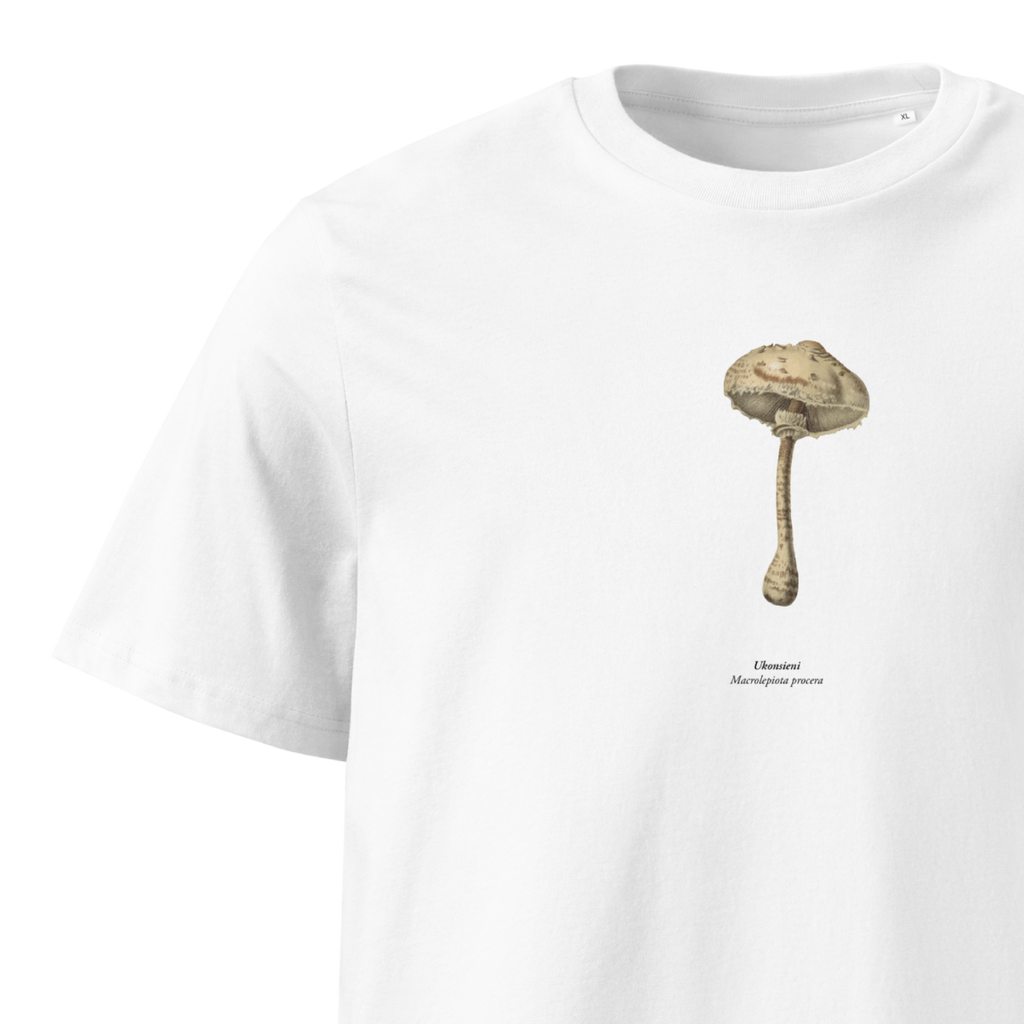 Ukonsieni, Macrolepiota procera